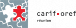 Bilan de compétences et e-formation - Les rencontres du CARIF-OREF mardi 4 et mercredi 5 décembre 2001