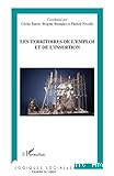 Les territoires de l'emploi et de l'insertion