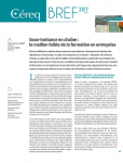 Céreq bref, n°387 - février 2020 - Sous-traitance en chaîne : le maillon faible de la formation en entreprise